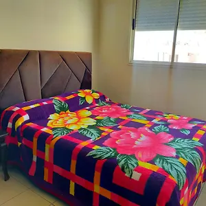 Begonia House Maroc